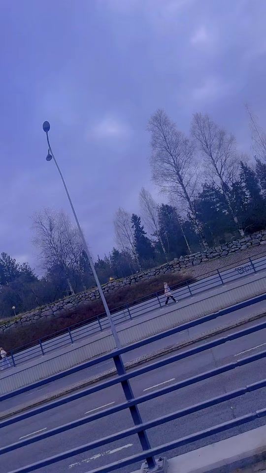 TikTok video thumbnail by theflower782
