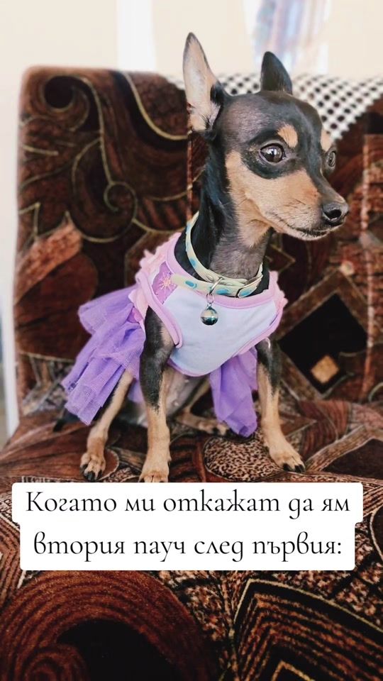 TikTok video thumbnail by mona_ludata