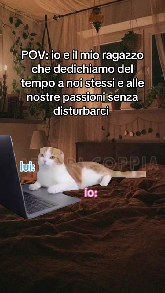 TikTok video thumbnail by gatti_meme
