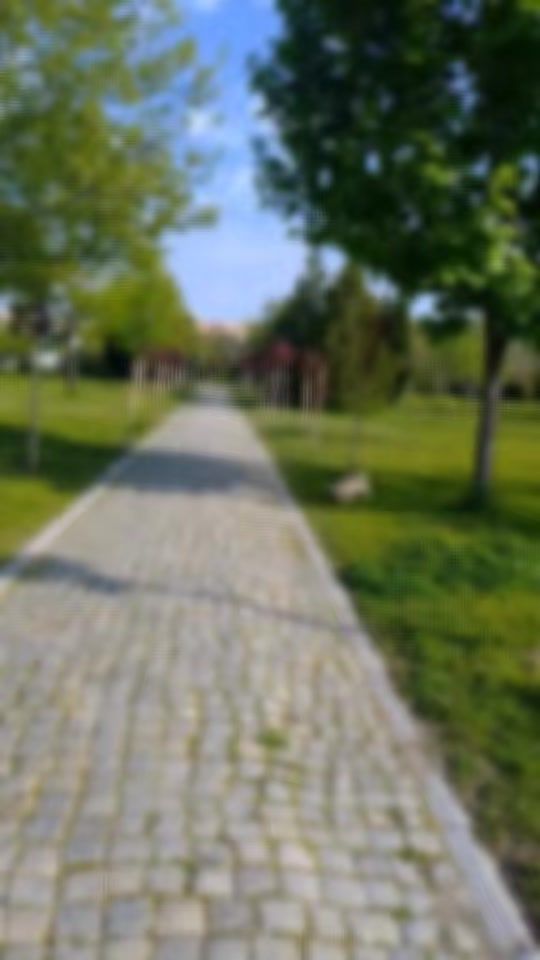 TikTok video thumbnail by _e_koleva__