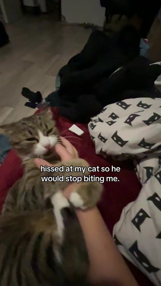 TikTok video thumbnail by maya_adamkk