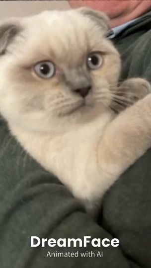 TikTok video thumbnail by simbas.n.piet