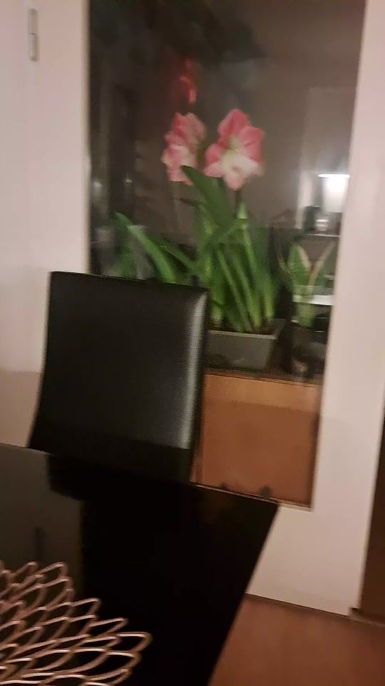 TikTok video thumbnail by dianbrown240