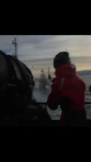 TikTok video thumbnail by animalactivistctr