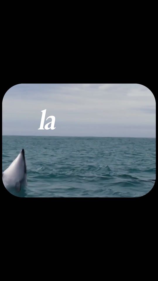 TikTok video thumbnail by heetsare
