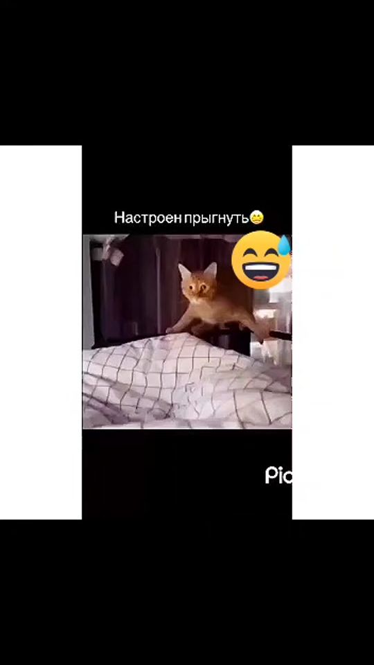 TikTok video thumbnail by prikolidodlez