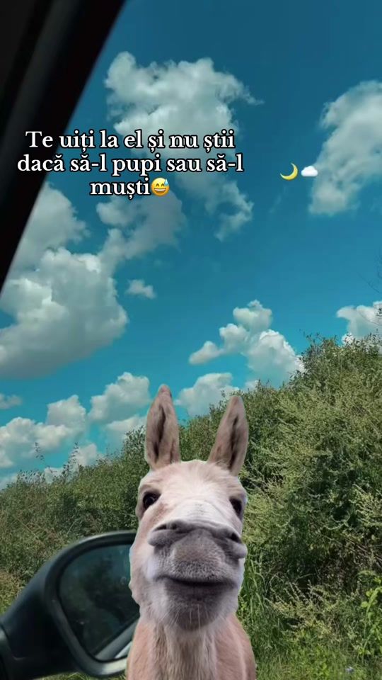 TikTok video thumbnail by paula.15.03
