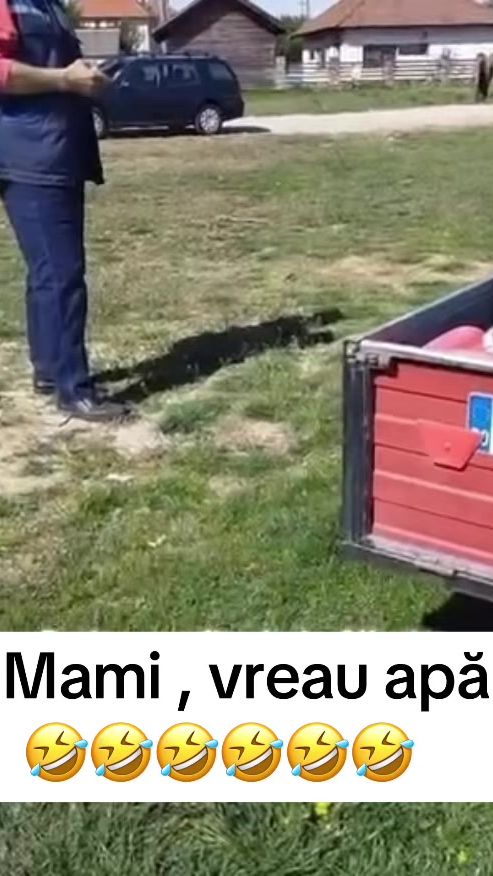 TikTok video thumbnail by _98plm