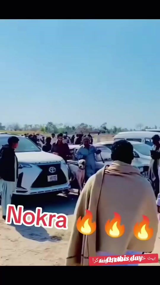 TikTok video thumbnail by bullishokeen1