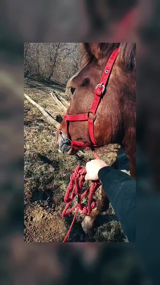TikTok video thumbnail by florinaburdeti