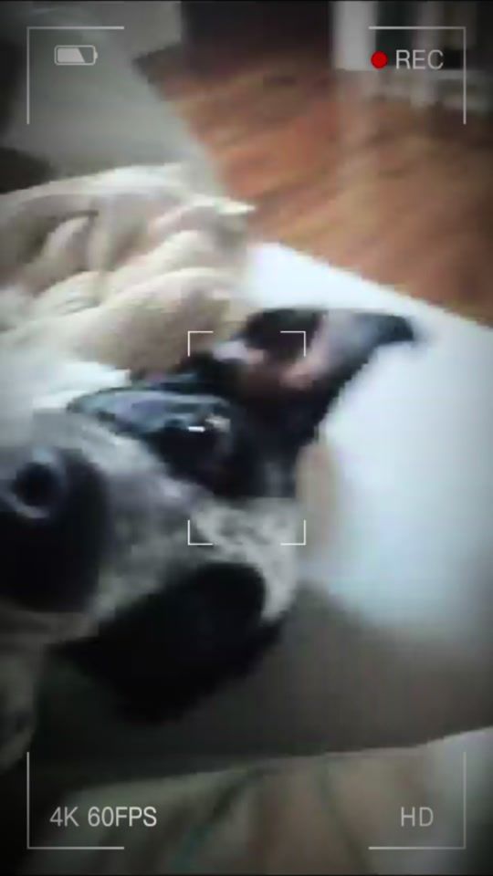 TikTok video thumbnail by giulianakpl