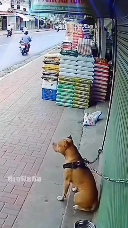 TikTok video thumbnail by mariolaudati