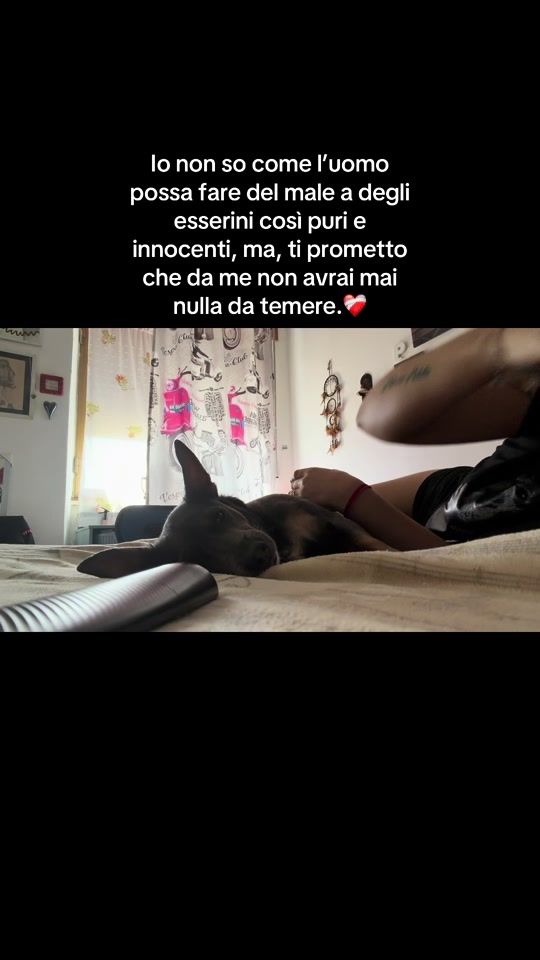 TikTok video thumbnail by vlc.moon