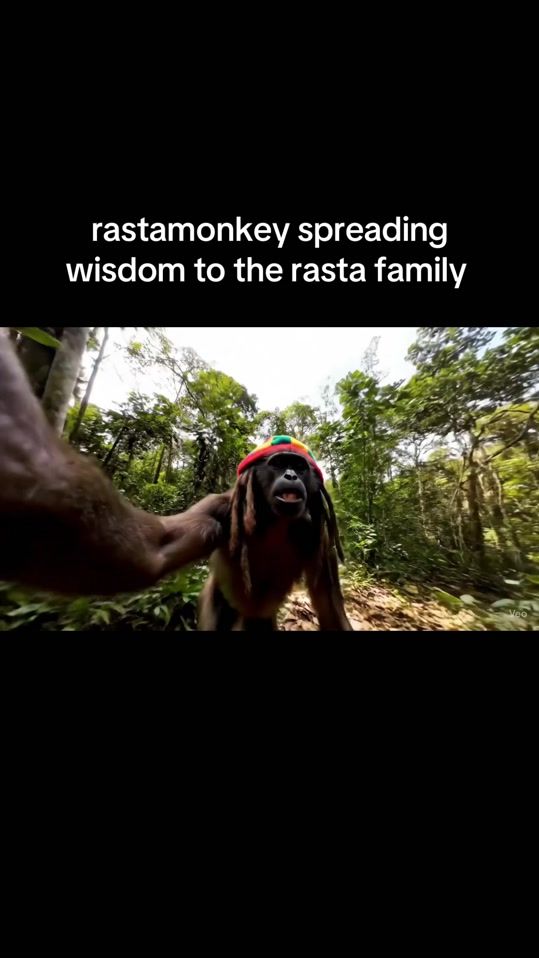 TikTok video thumbnail by rastamonkey