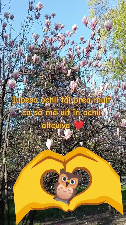 TikTok video thumbnail by pretender8880