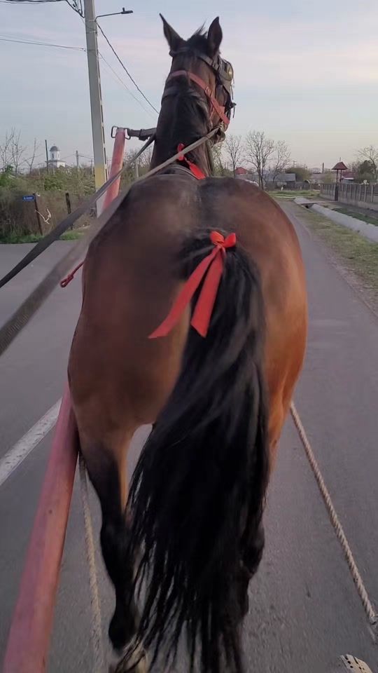 TikTok video thumbnail by joky.csm2003