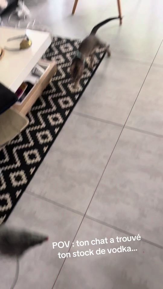 TikTok video thumbnail by manuesampe