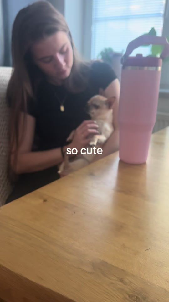 TikTok video thumbnail by elipetrzelkova