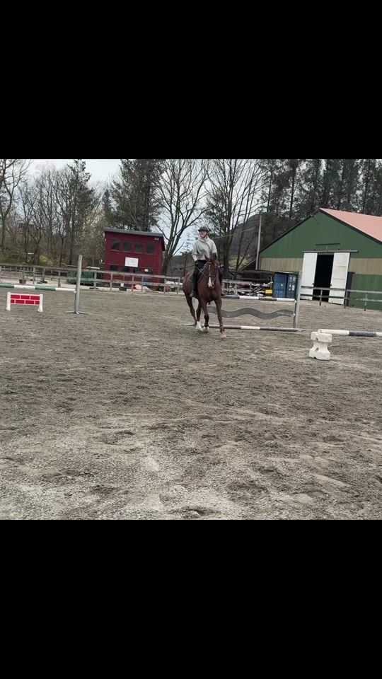 TikTok video thumbnail by aurora.eq