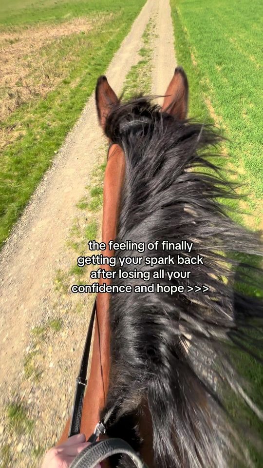TikTok video thumbnail by kathi.ludwig_