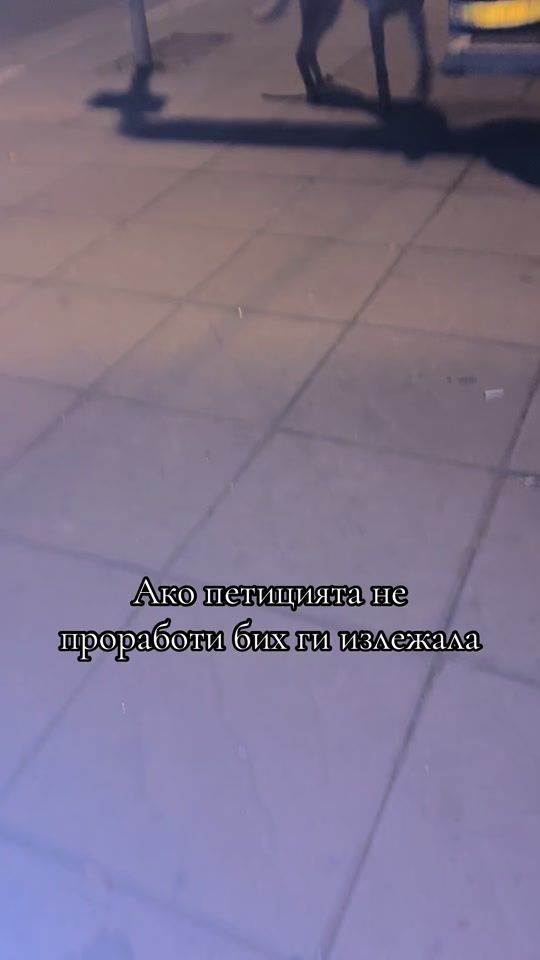 TikTok video thumbnail by sabewa_k