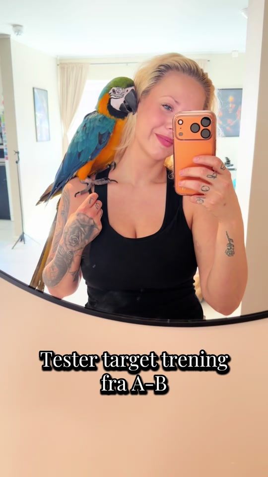 TikTok video thumbnail by ariathemacaw