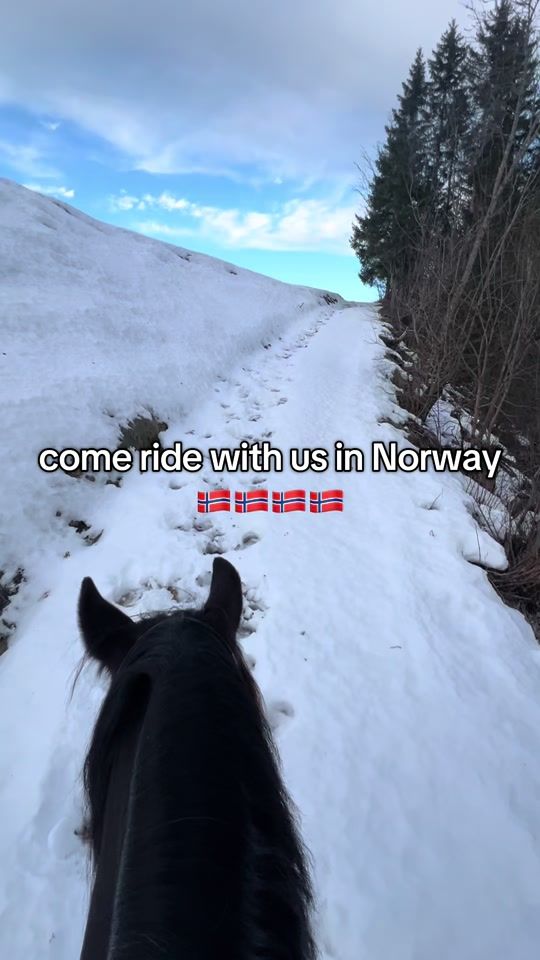 TikTok video thumbnail by andreagladso