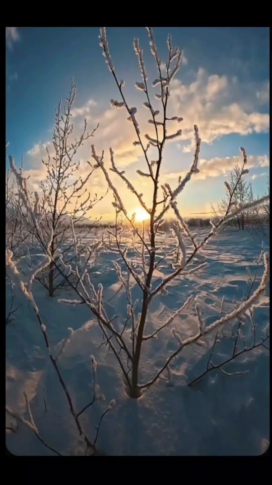 TikTok video thumbnail by pat_rick558