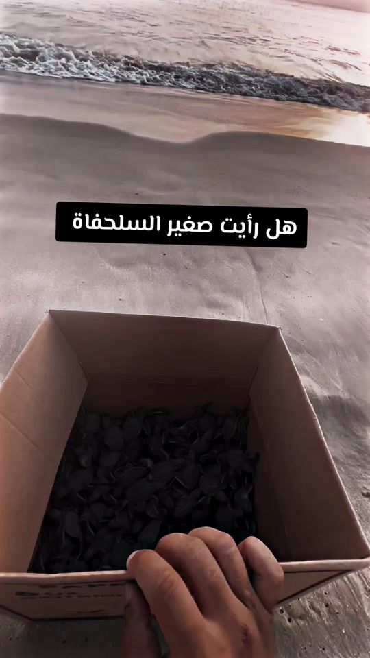 TikTok video thumbnail by samir_madrid01