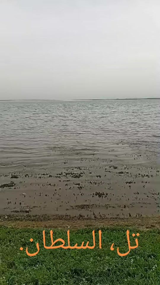 TikTok video thumbnail by zbk984