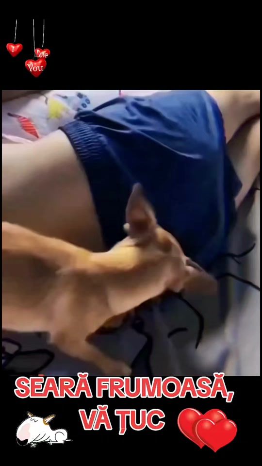 TikTok video thumbnail by marianbij