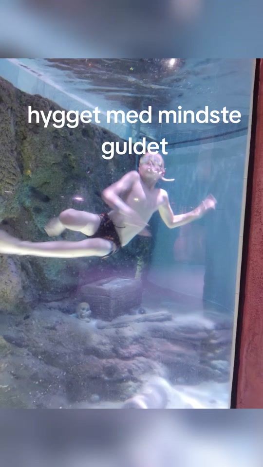 TikTok video thumbnail by heidi.hansen17