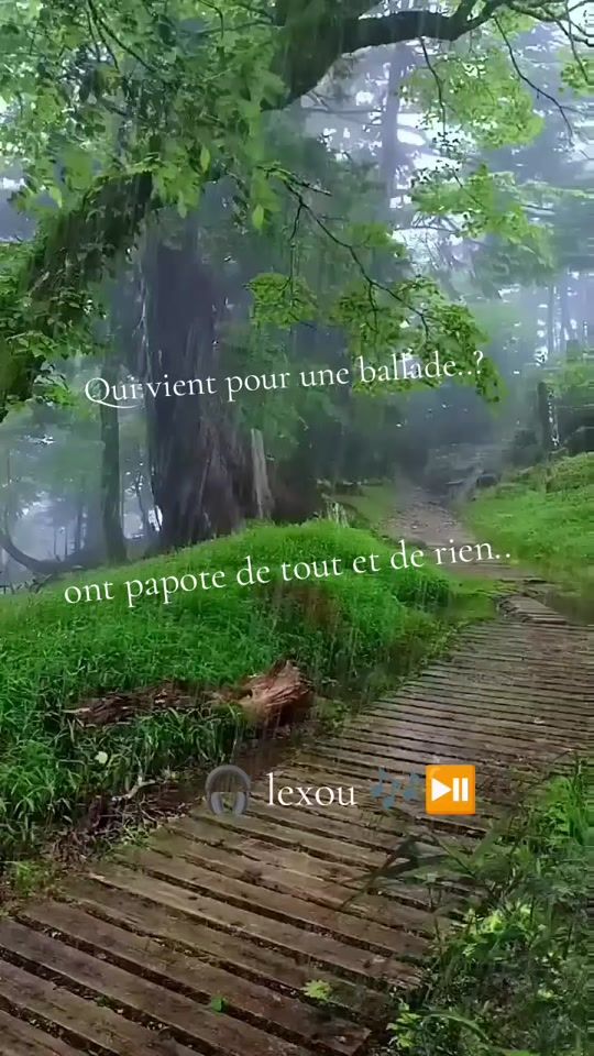 TikTok video thumbnail by alex12nini