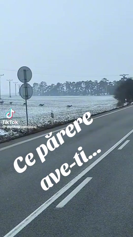 TikTok video thumbnail by lupescu.vasile