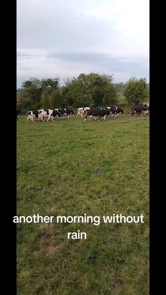 TikTok video thumbnail by michaelosullivan87