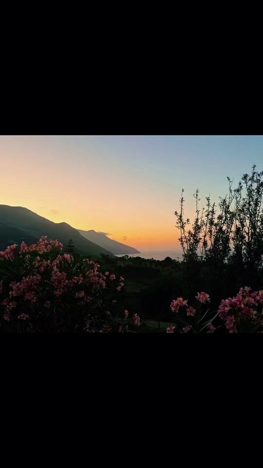 TikTok video thumbnail by anusia_may