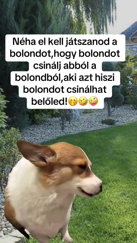 TikTok video thumbnail by noemi10144