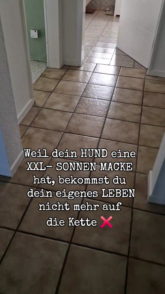 TikTok video thumbnail by marlo.mittendrin