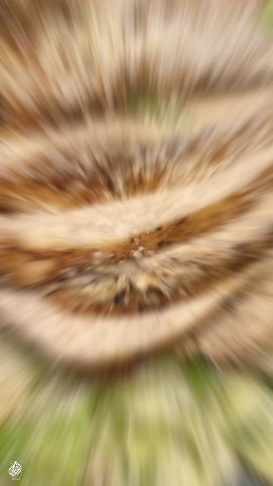 TikTok video thumbnail by chef__911