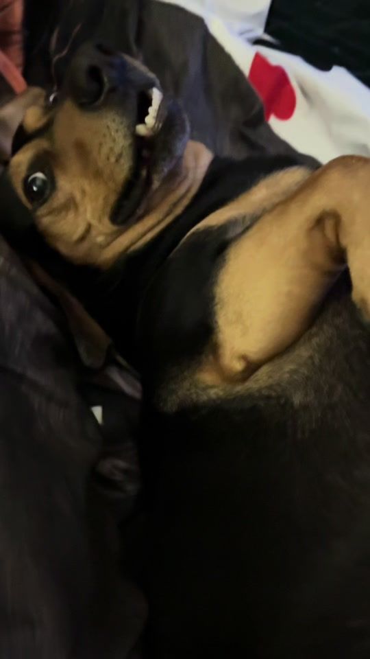 TikTok video thumbnail by brigiekler