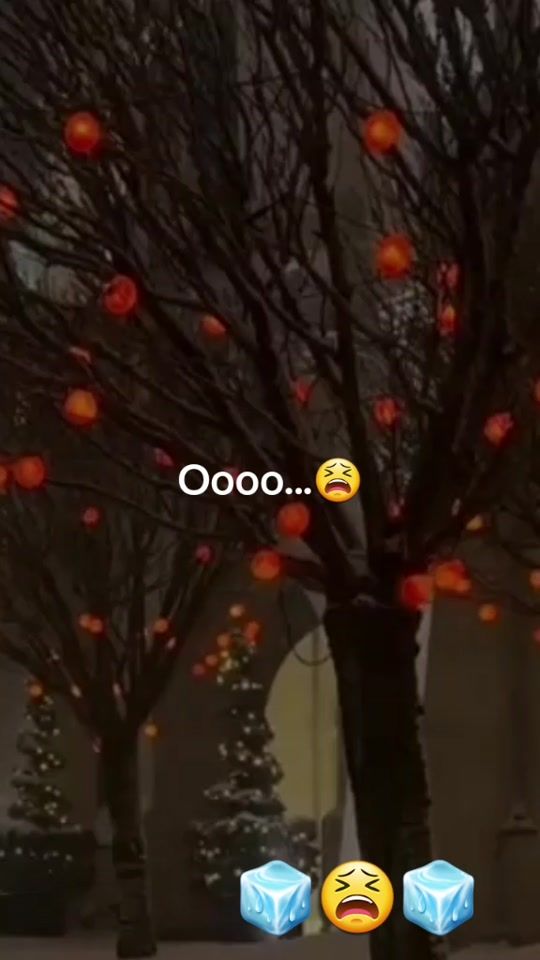 TikTok video thumbnail by stefani_aa21