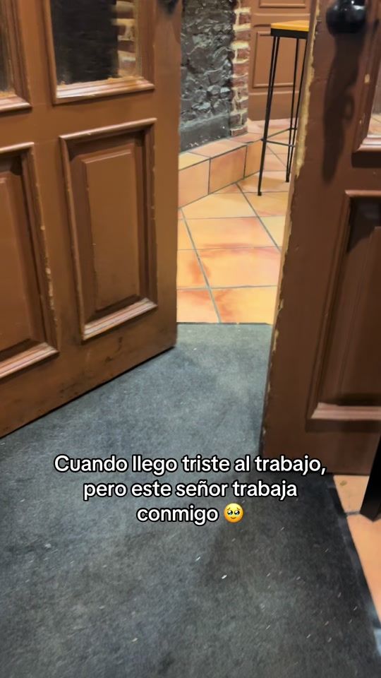 TikTok video thumbnail by eldelalengua.mp4