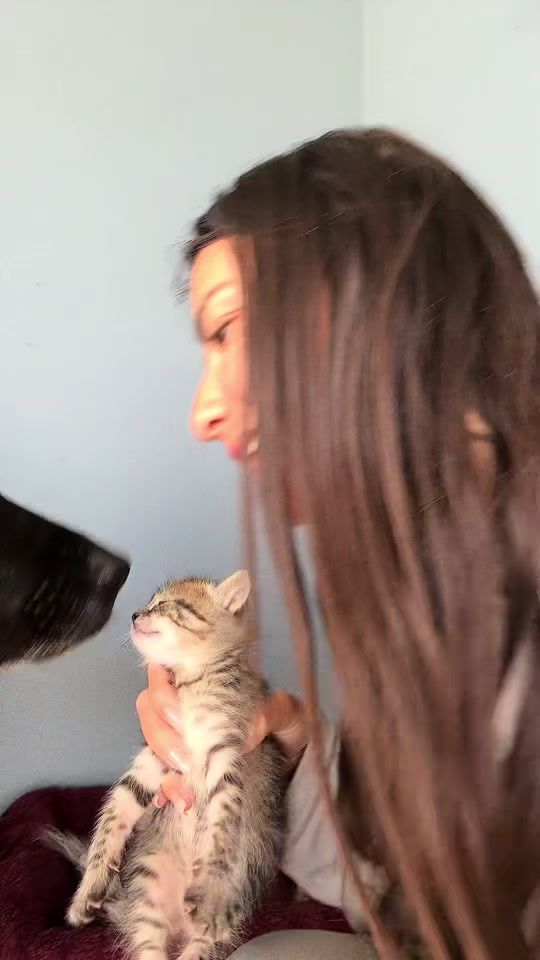 TikTok video thumbnail by _mariangela94_