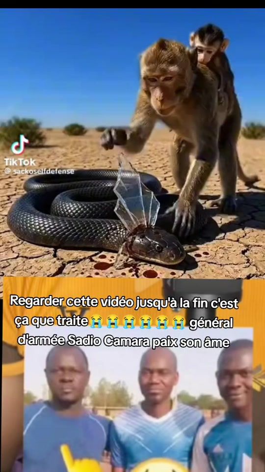 TikTok video thumbnail by maraka...fama.sk