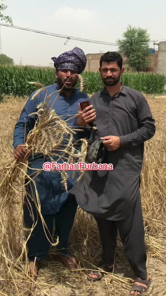 TikTok video thumbnail by zfbhai2