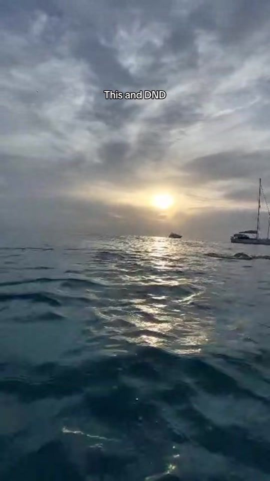 TikTok video thumbnail by olgaazrv