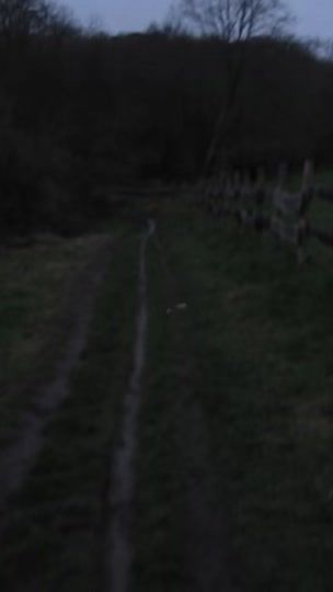 TikTok video thumbnail by maistor_