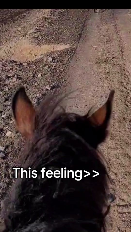 TikTok video thumbnail by amelialady0