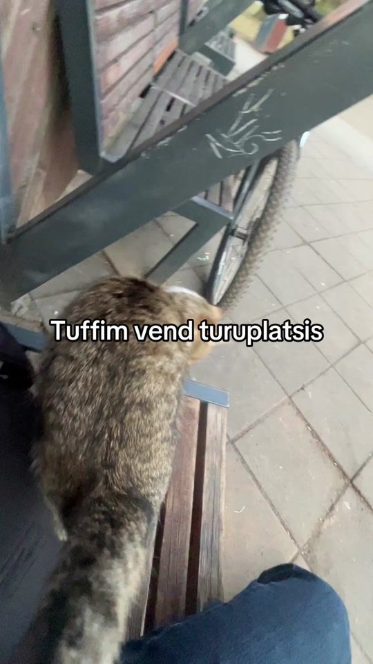 TikTok video thumbnail by kxsprrr