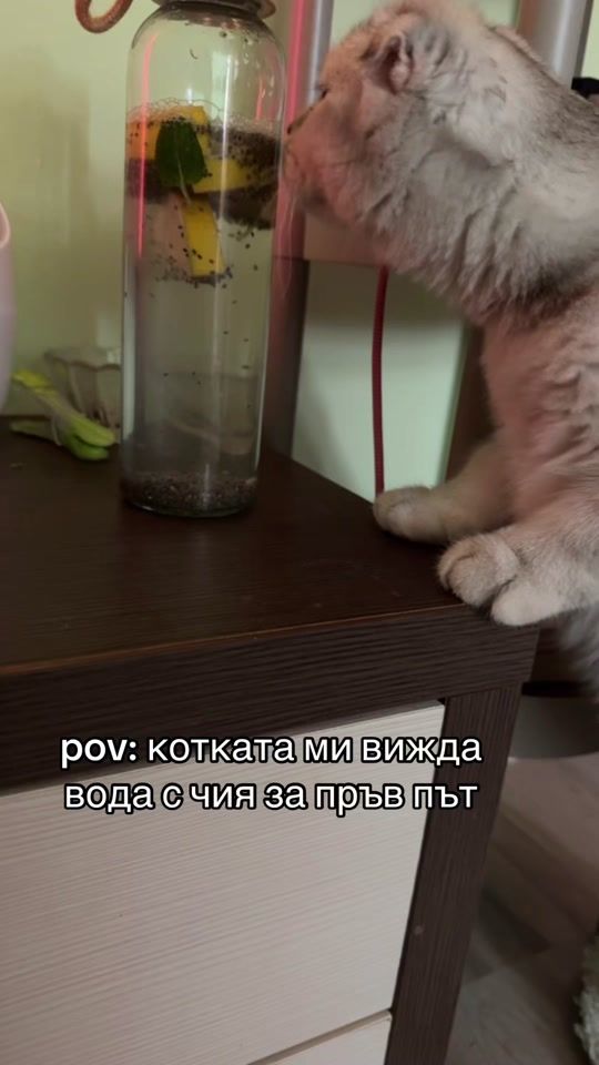 TikTok video thumbnail by sg_vva